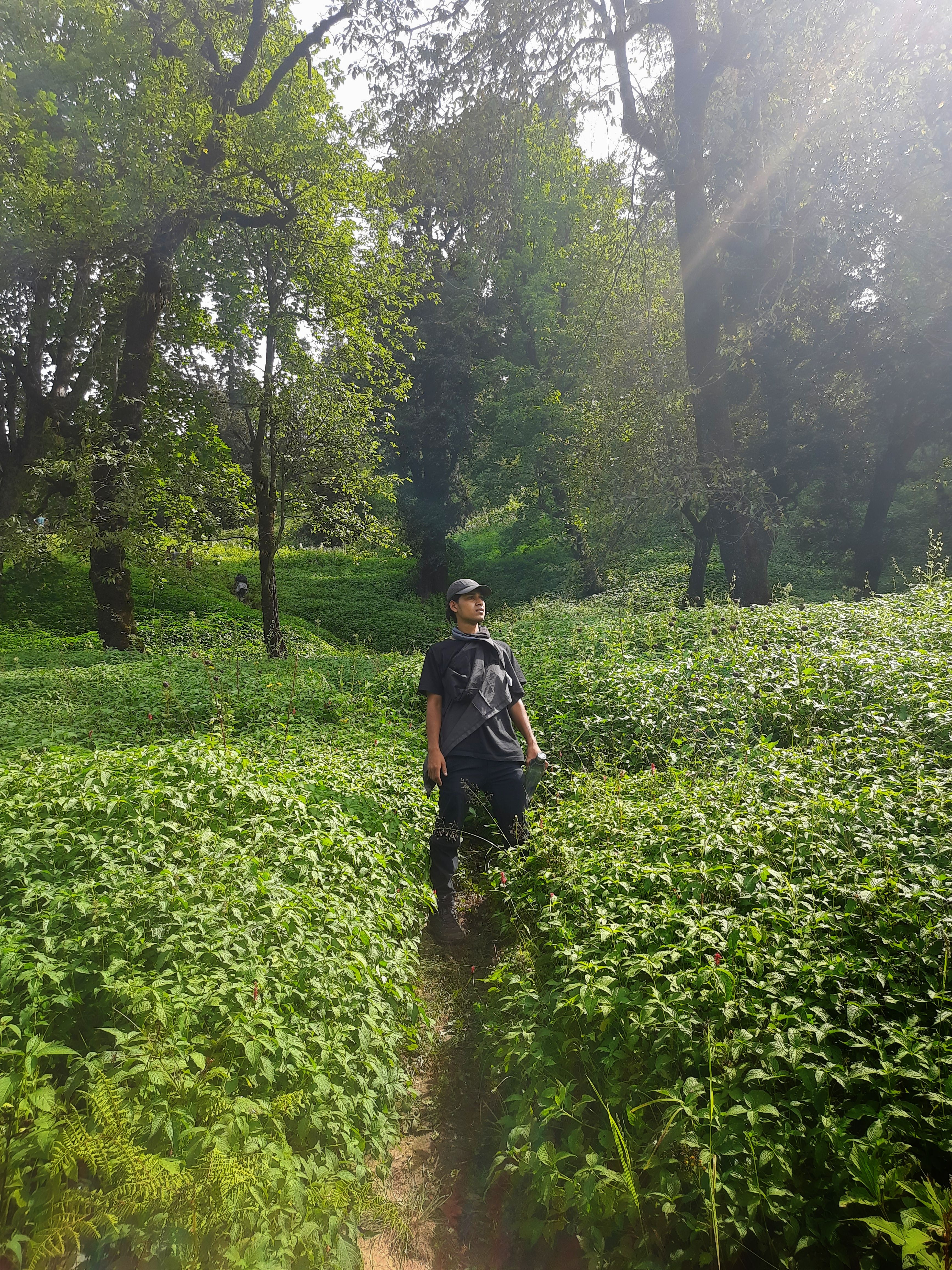 Basic Mountaineering Course in ABVIMAS, Manali