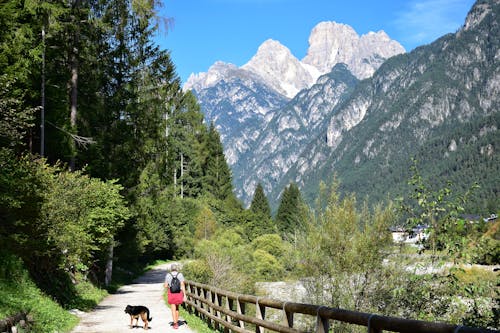 Woman Hiking with Dog in Valley in Mountains