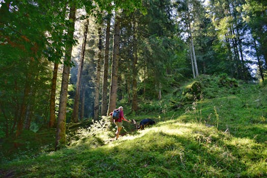 Woman hiking with a dog in a lush green forest in Pian del Cansiglio, Italy. Perfect for nature lovers.