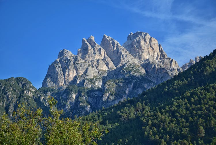 Forest And Rocky Mountains Behind