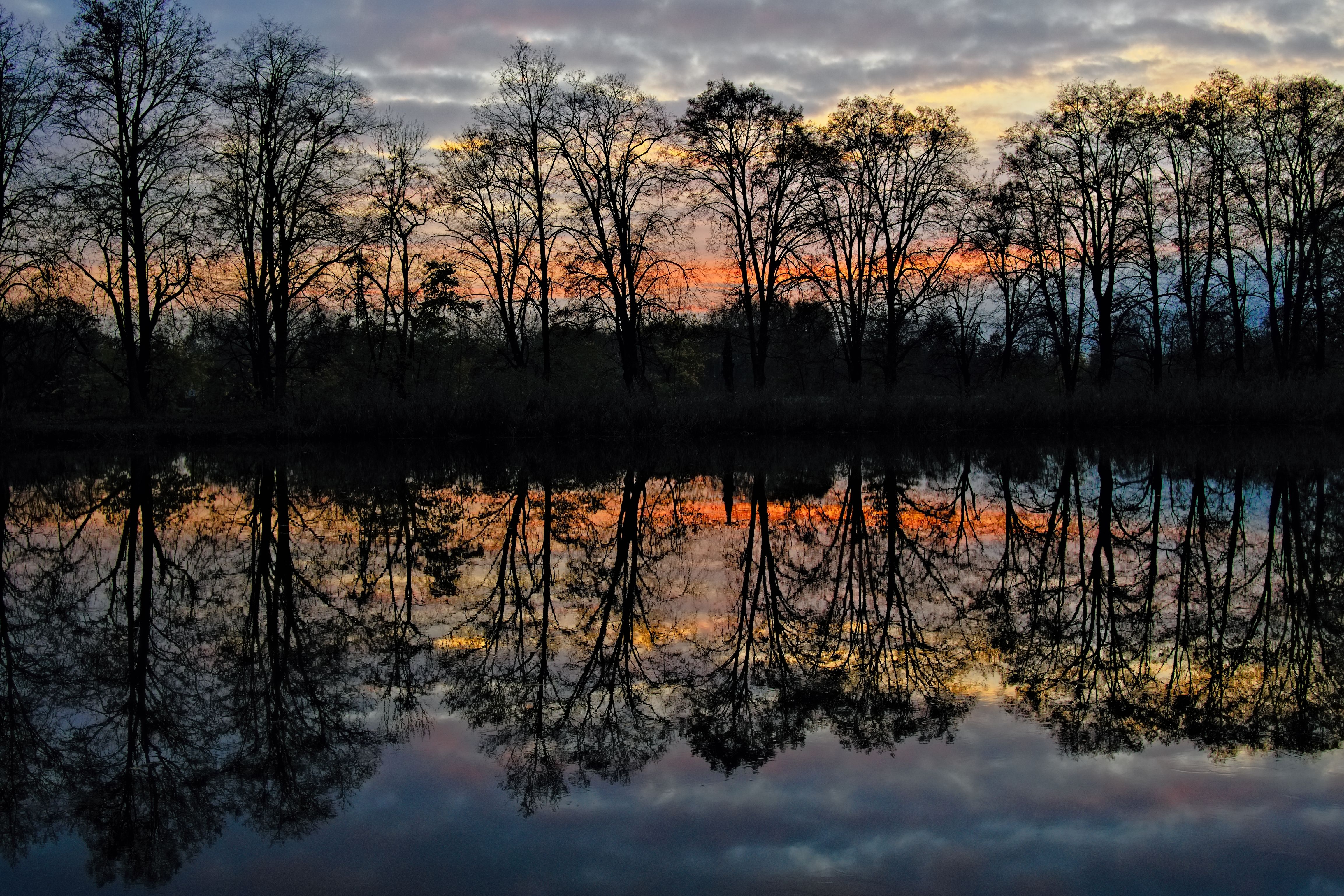 Trees Reflection in Lake at Sunset · Free Stock Photo