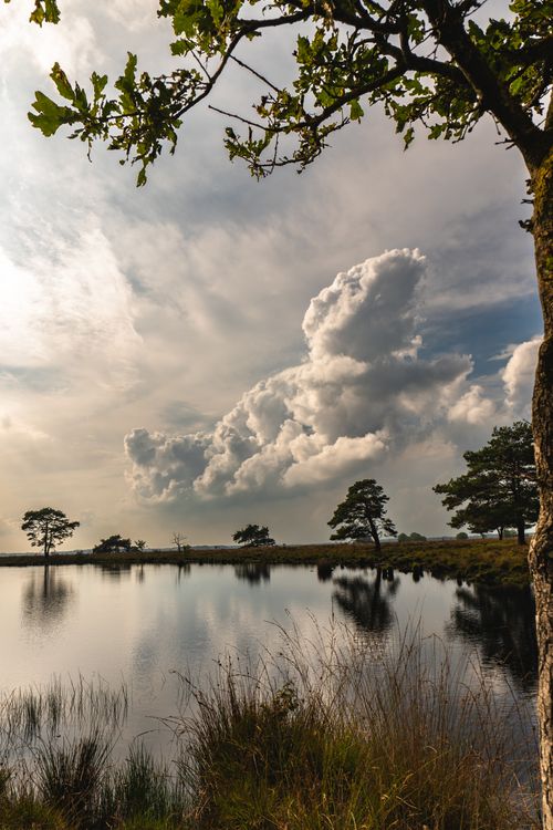 Free Beautiful scene of a reflective lake with dramatic clouds and surrounding trees, perfect for nature lovers. Stock Photo
