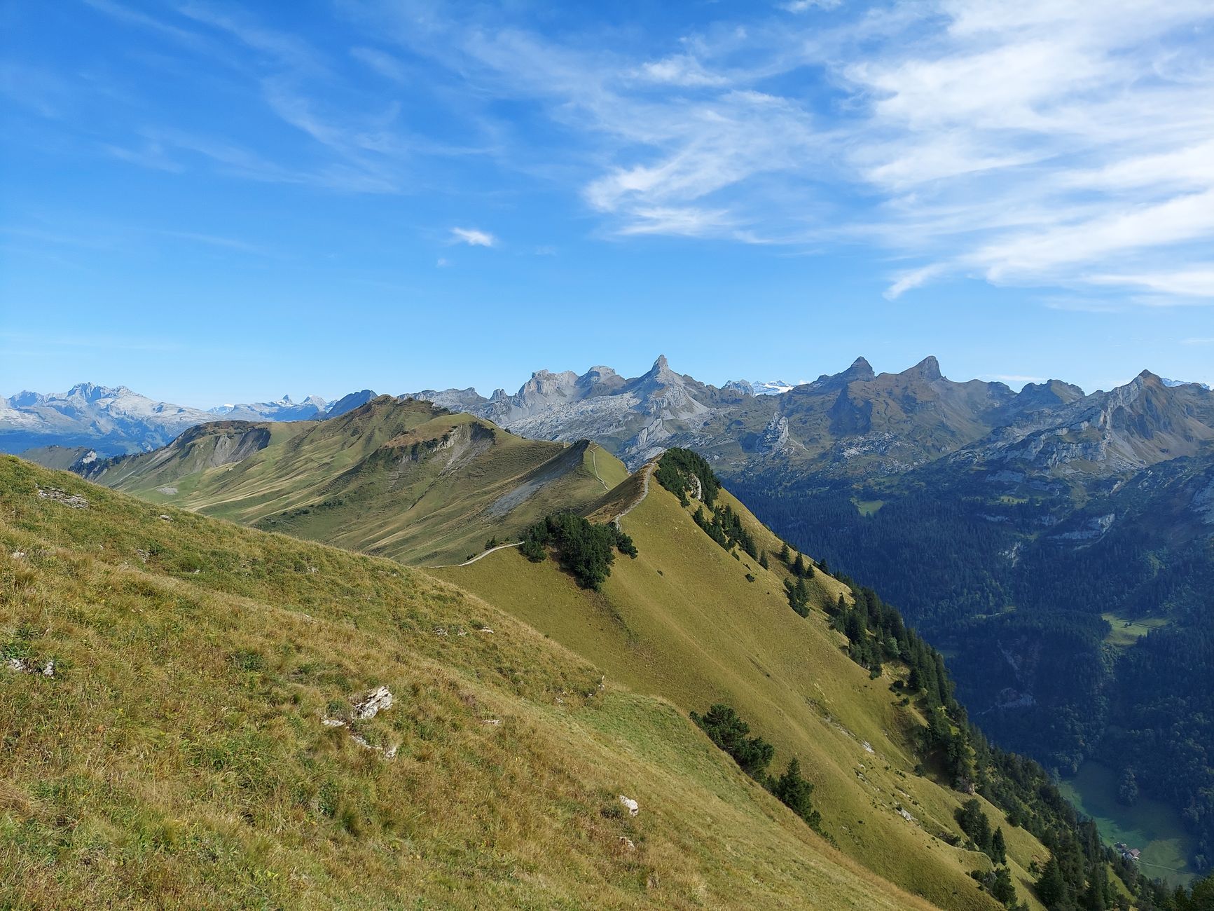 Sorties en forêt près de Croix-Blanche