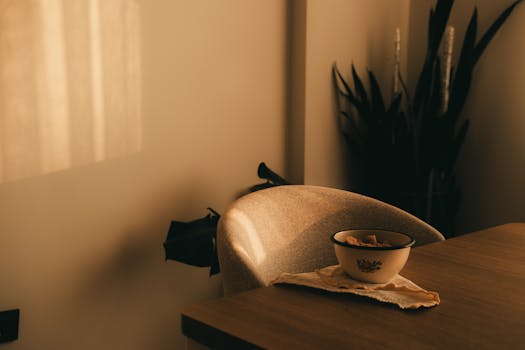 A warm, calming indoor setting featuring a bowl of cereal on a table near a chair and plants.