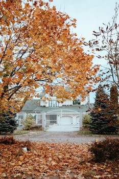 A beautiful house amidst vibrant autumn leaves, capturing the essence of fall.