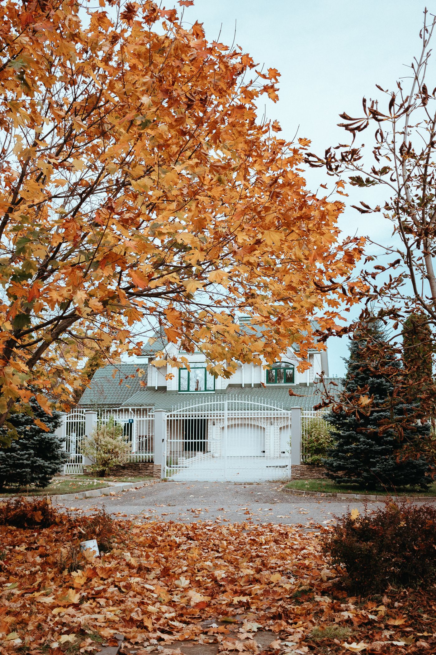 Colorful fall leaves and a house in the North Carolina countryside