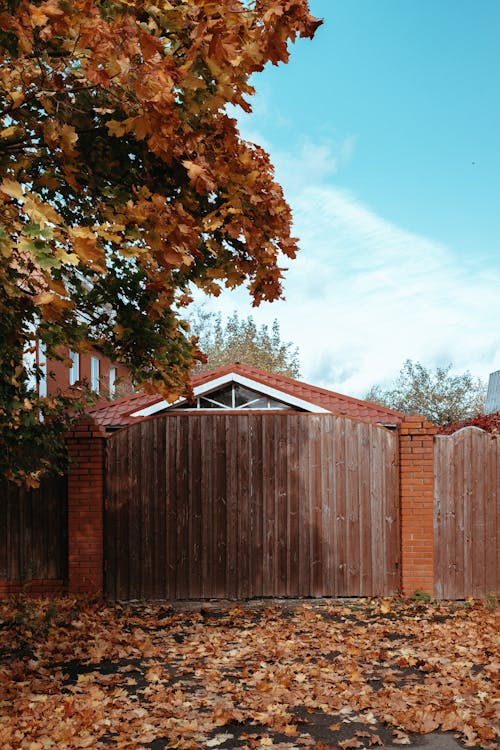 Free Colorful, Autumn Leaves around Wooden Fence Stock Photo