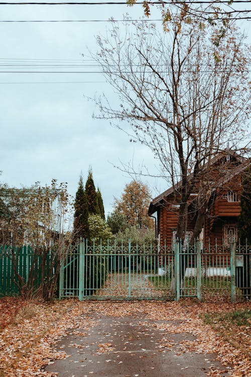 Ingyenes stockfotó aszfalt, épület, fa témában