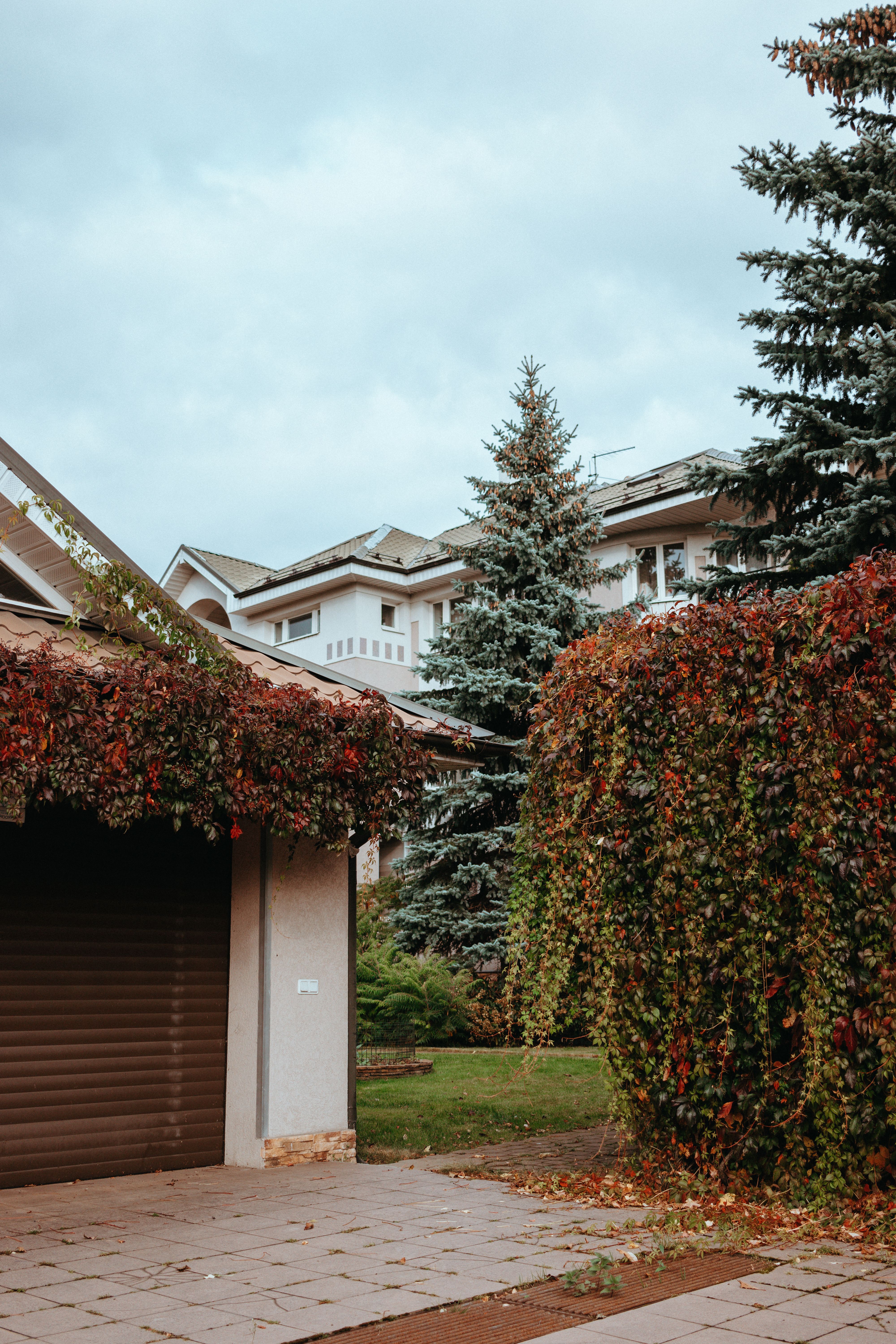 Townhouse with a garage and ivy, nestled in an autumnal urban environment.