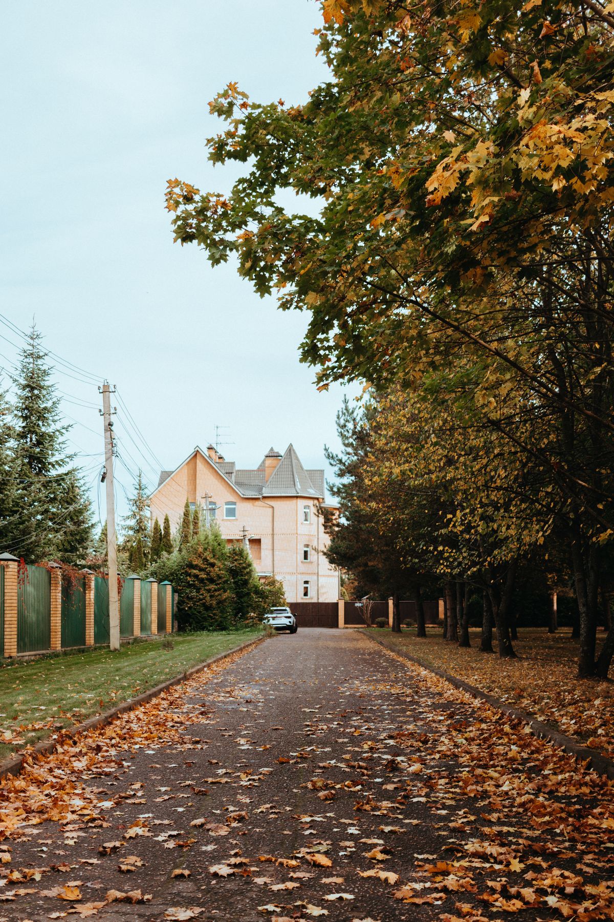 Rural road lined with autumn leaves leading to a small house