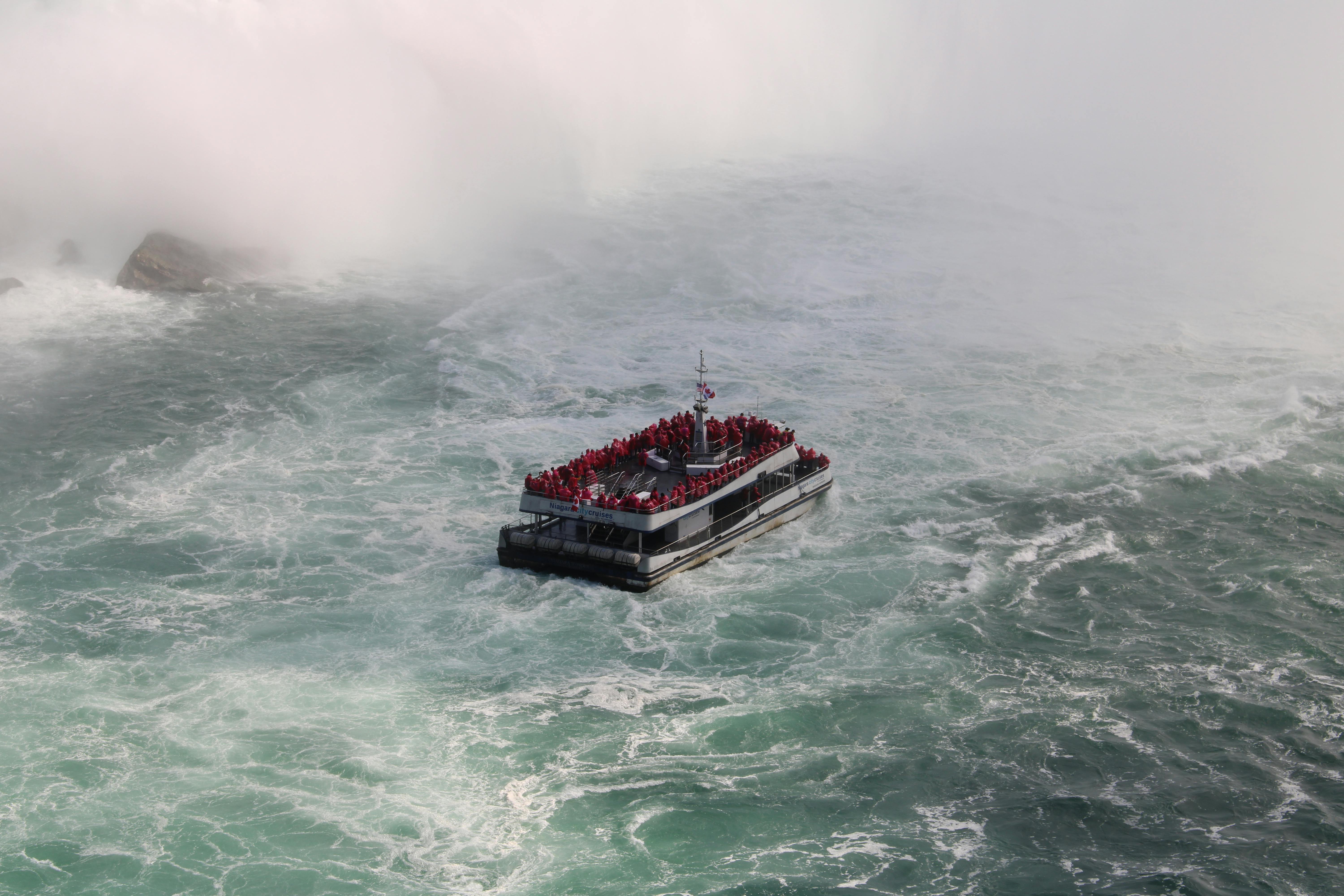 Niagara USA chamber announces search for new executive director — Photo by alex ohan on Pexels