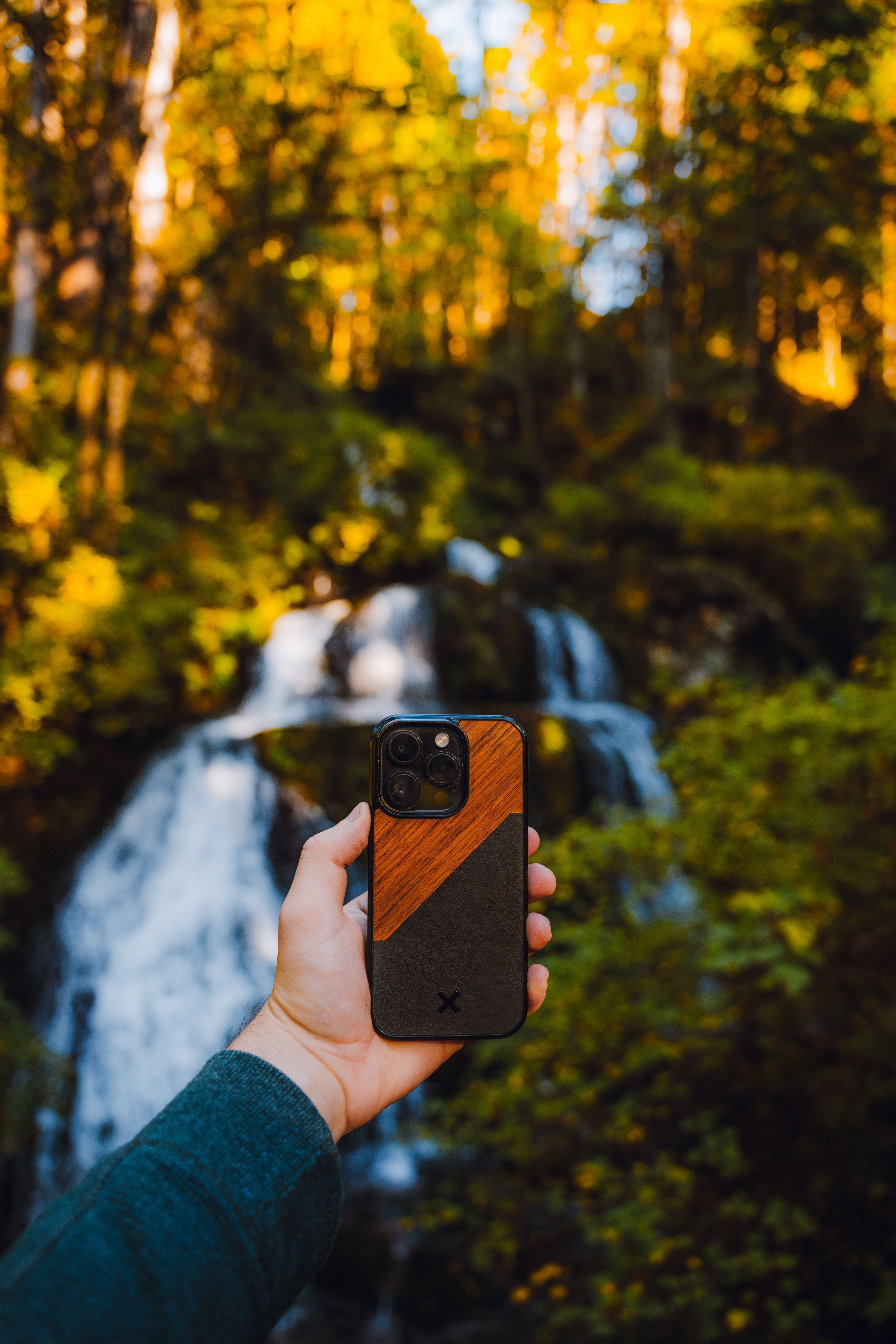 Man Holding a Smart Phone in a Forest · Free Stock Photo