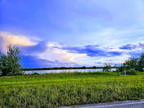 Kostenloses Stock Foto zu blauer himmel, blueclouds, grünes gras