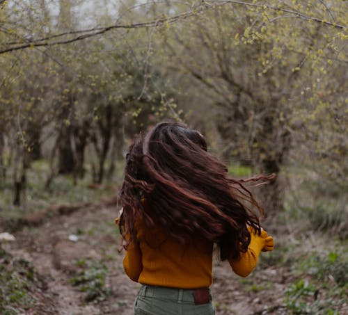 Back View of Person Walking Between Trees