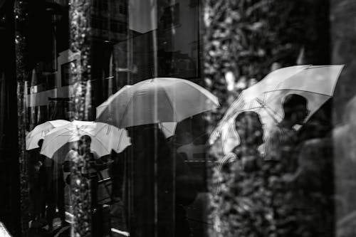 Reflection of People with Umbrellas in the Glass Windows 