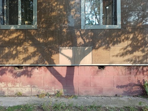 Tree Shadow on a Building