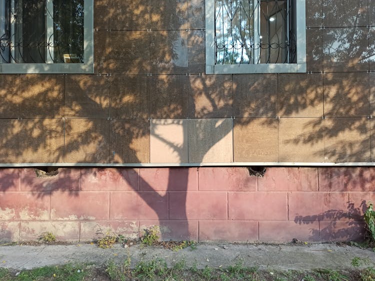 Tree Shadow On A Building