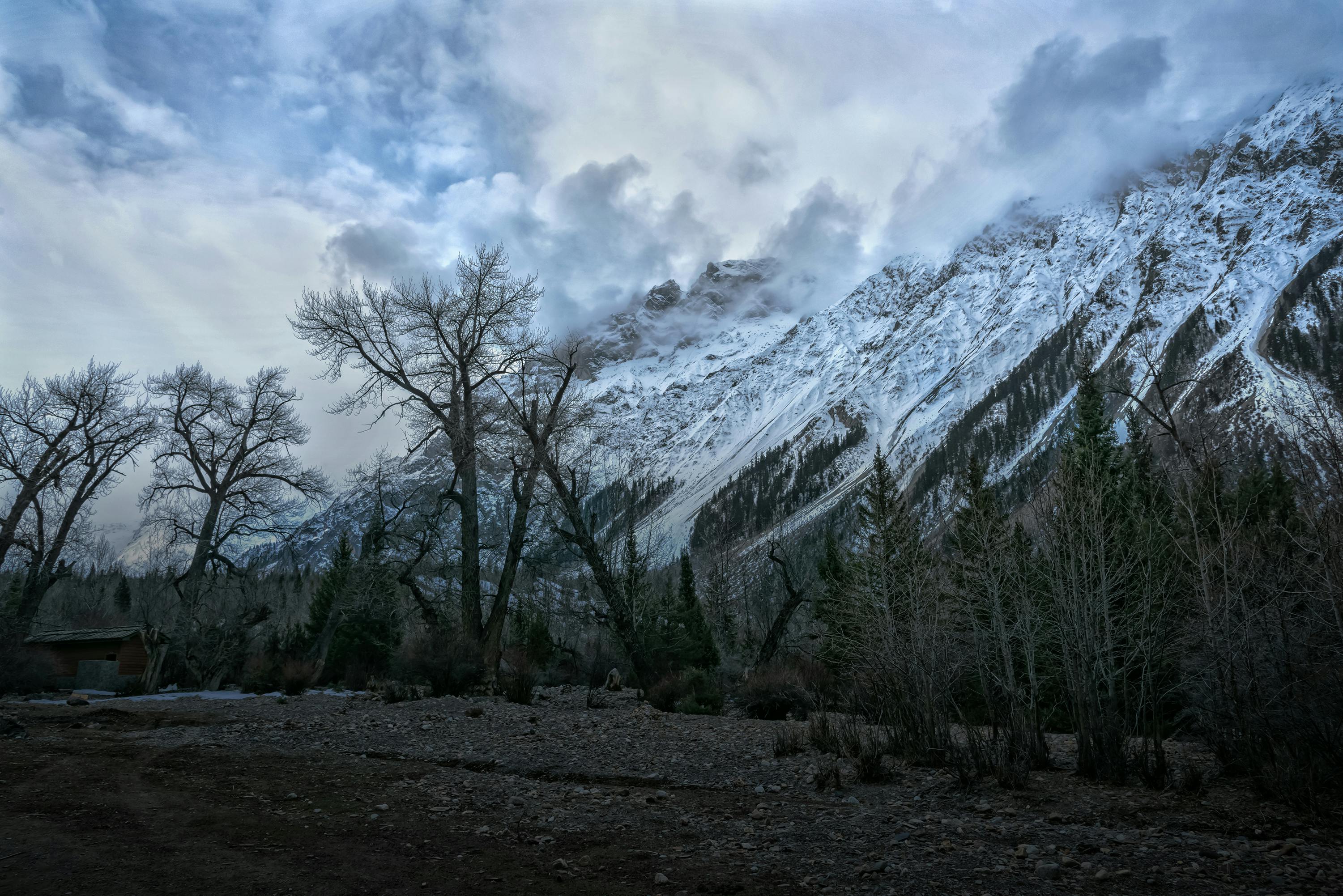 pexels-photo-18656644.jpeg?