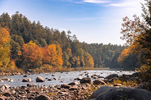 Fotobanka s bezplatnými fotkami na tému breh rieky, jeseň, krajina