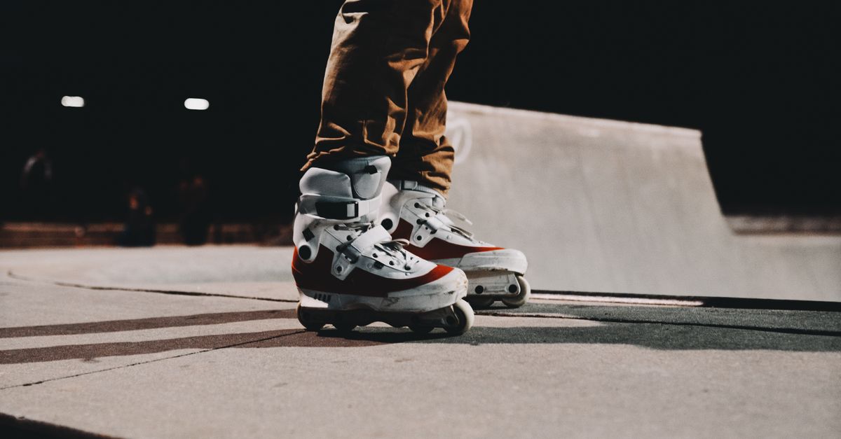 Skate survey