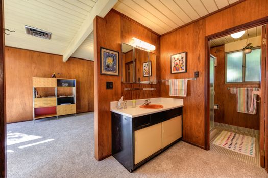 Bright mid-century modern bathroom with vintage design and wood paneling.. bright, century, modern