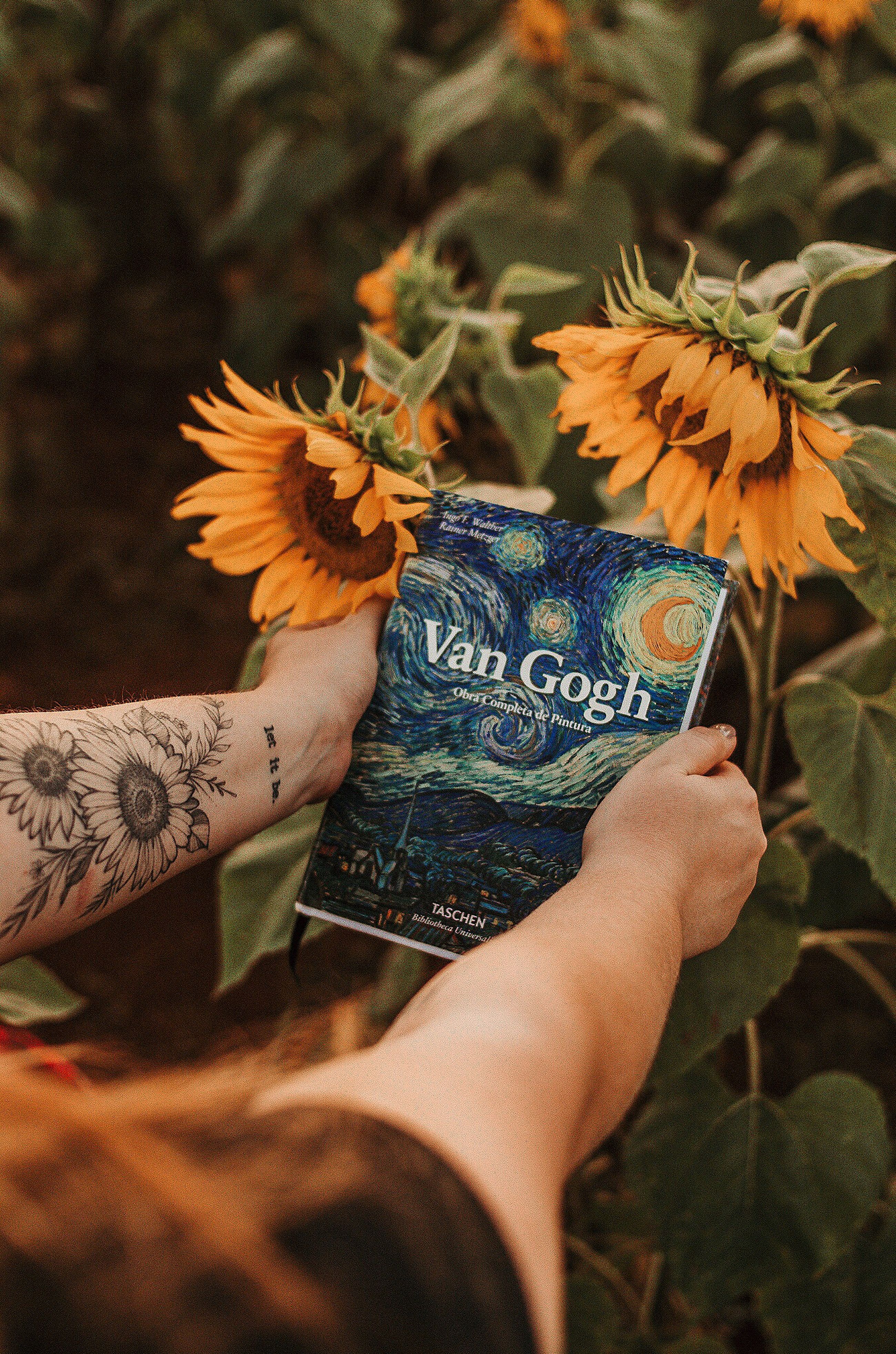 Person Holding Van Gogh Book Beside Sunflowers Free Stock