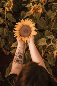 一位纹身的女子手持向日葵，站在盛开的田野中，展现大自然的美丽