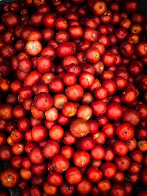 Red Round Fruits Lot