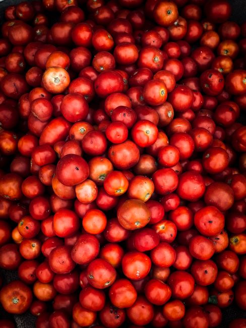 A vibrant close-up of fresh red tomatoes, showcasing their bright color and juicy freshness.