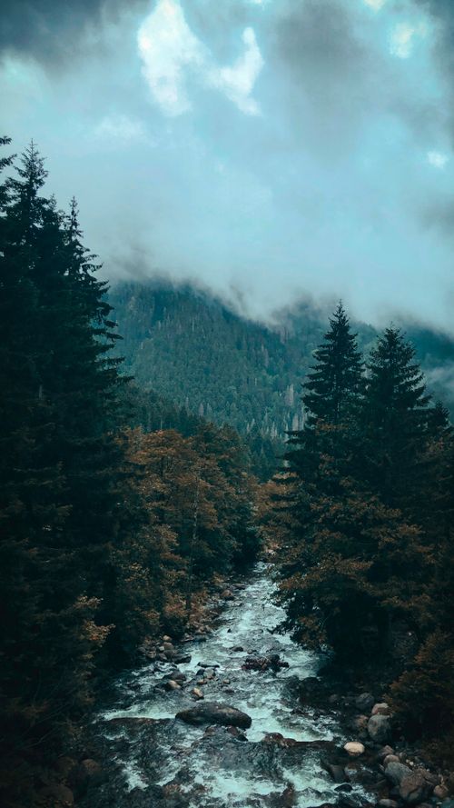 Free A stunning aerial view of a river flowing through a forest under a cloudy mountain sky. Stock Photo