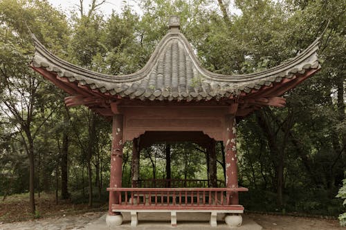 Imagine de stoc gratuită din arbori, arhitectura chineză, construcție