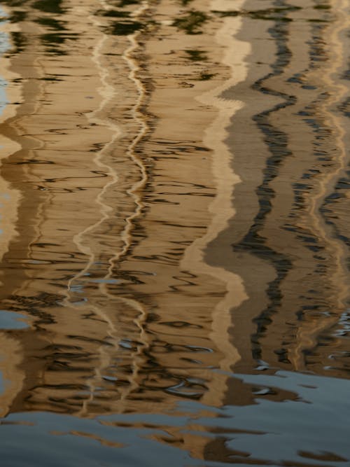 Close-up of a Wet Surface 