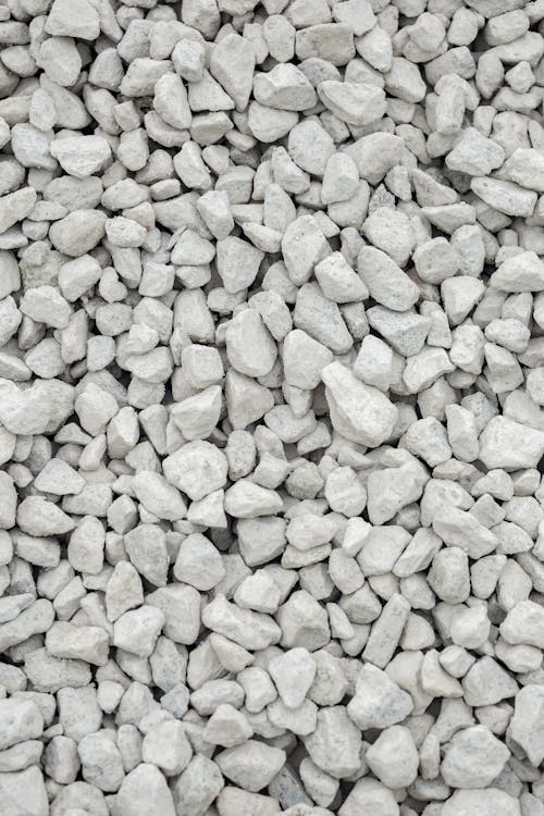Abundance of Light Gray Pebbles