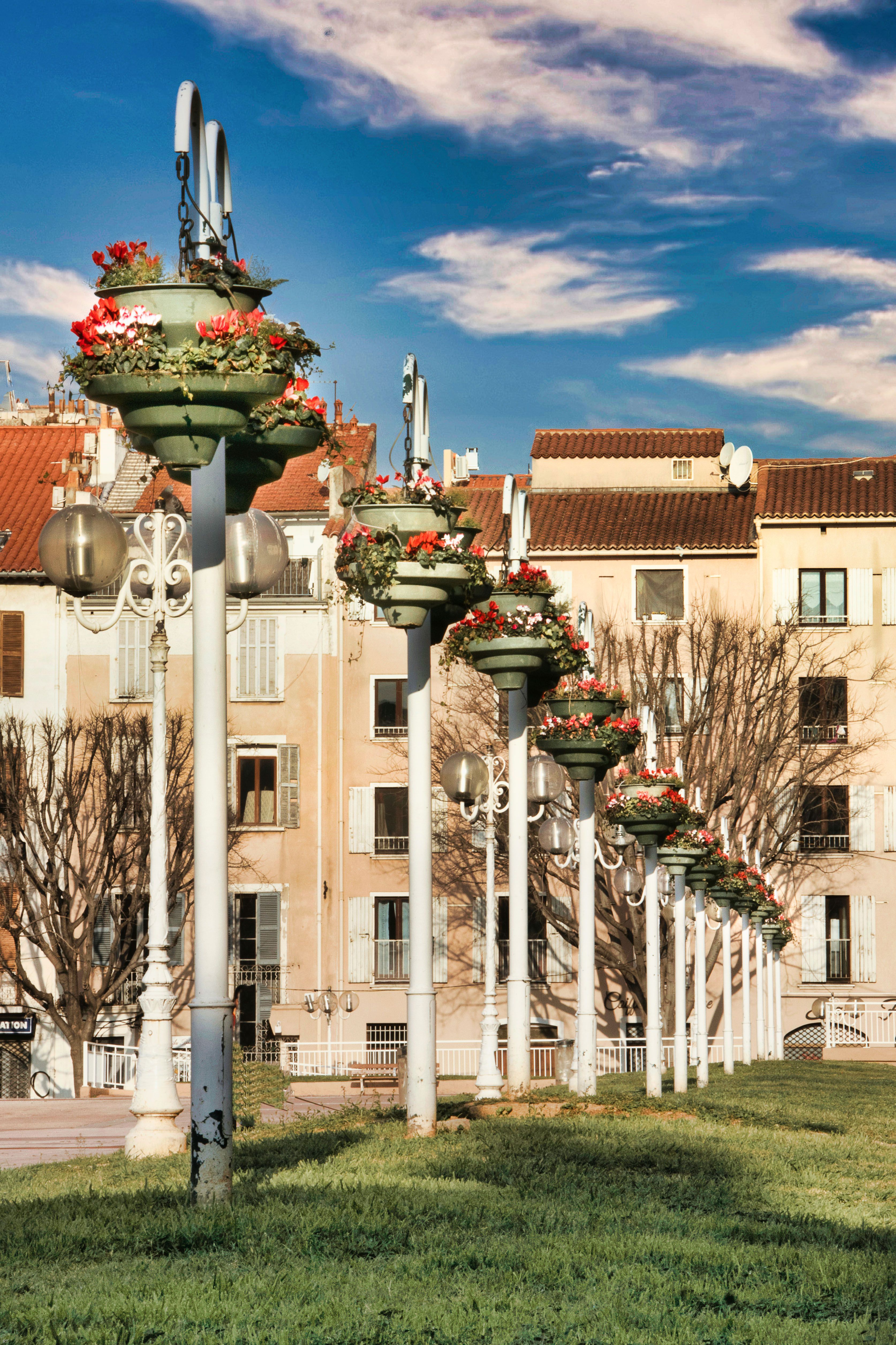 Streetlight Posts with Flowers on a Street · Free Stock Photo