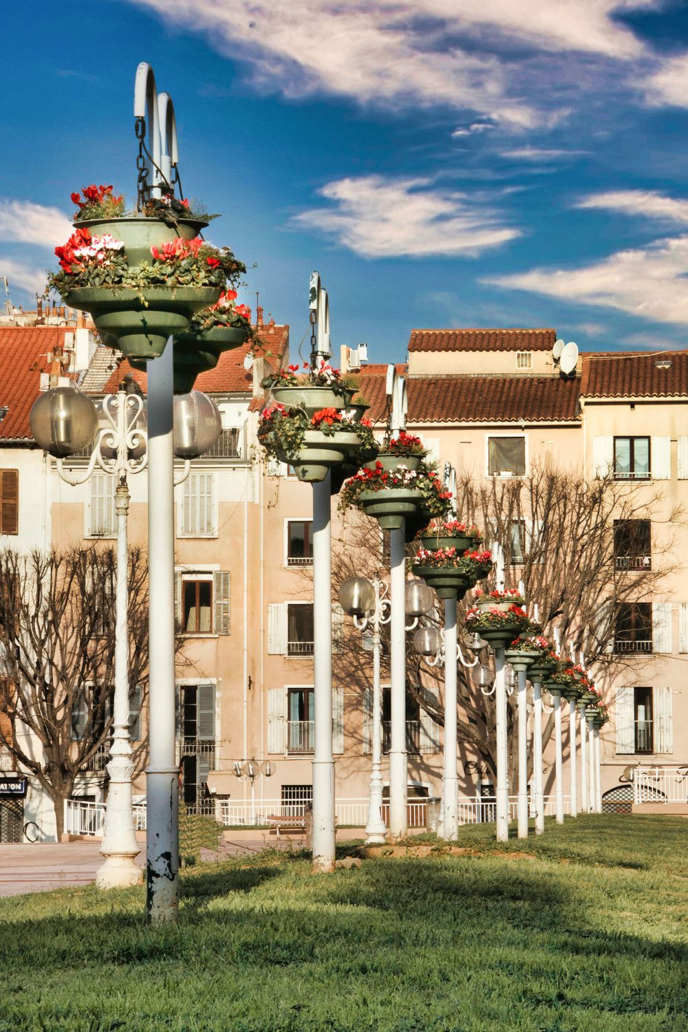 Streetlight Posts with Flowers on a Street · Free Stock Photo