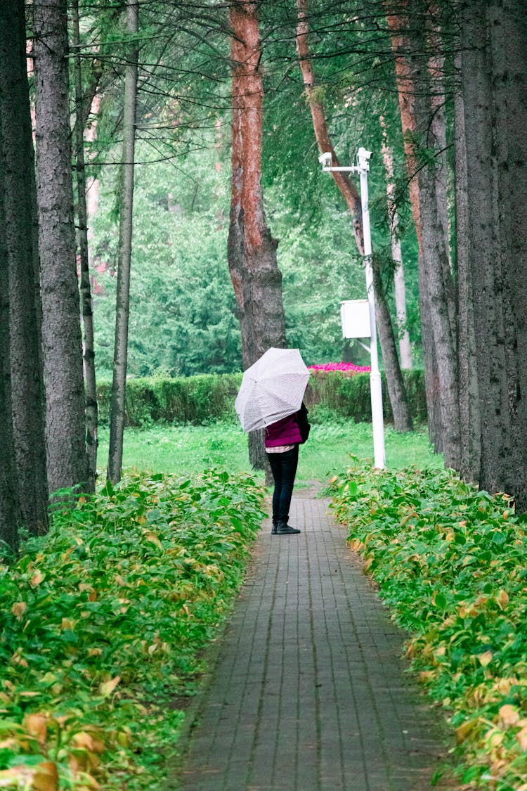 A Person With An Umbrella Standing On A Pavement 