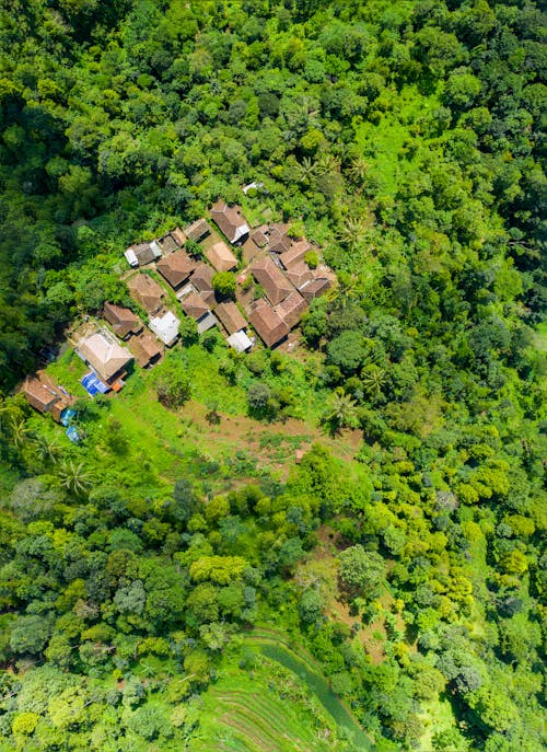 Aerial View Photography of Brown Houses Surrounded by Trees