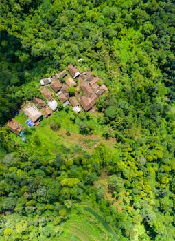 Captivating aerial view of a rural village nestled amidst lush green forests in Majasari, Banten, Indonesia.