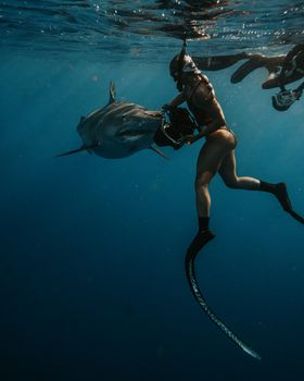 A scuba diver interacts closely with a shark deep underwater, offering a glimpse into marine life.