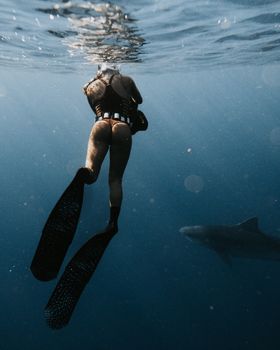 Diver swims underwater alongside a shark in this captivating ocean scene.