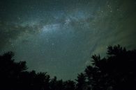 星空壮丽，银河系与树木轮廓交相辉映