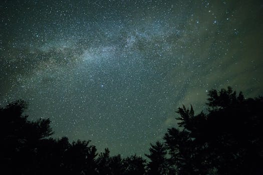 星空壮丽，银河系与树木轮廓交相辉映