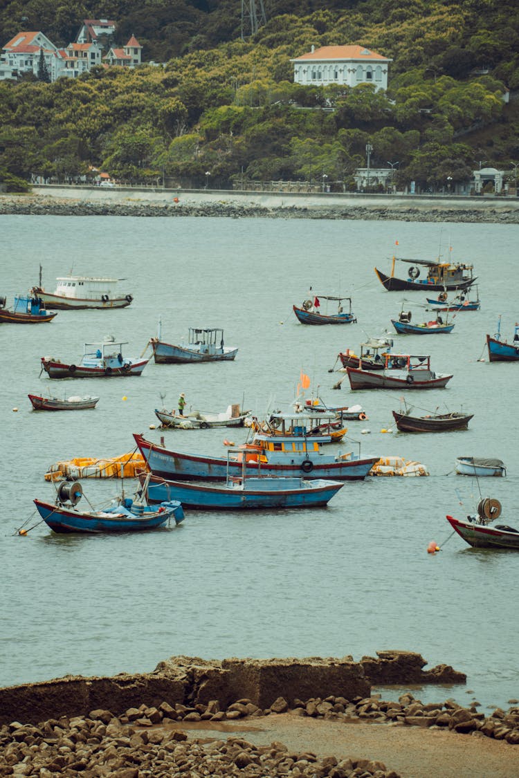 Boats In Bay