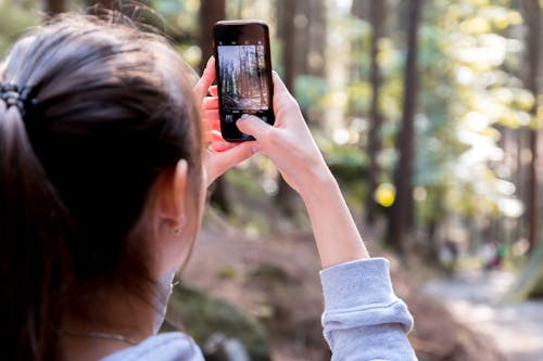 Gratis Mujer Usando Su Teléfono Inteligente Mientras Toma La Foto Del Bosque Foto de stock