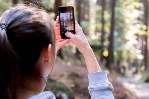 Free A woman captures scenic forest views with her smartphone outdoors. Stock Photo