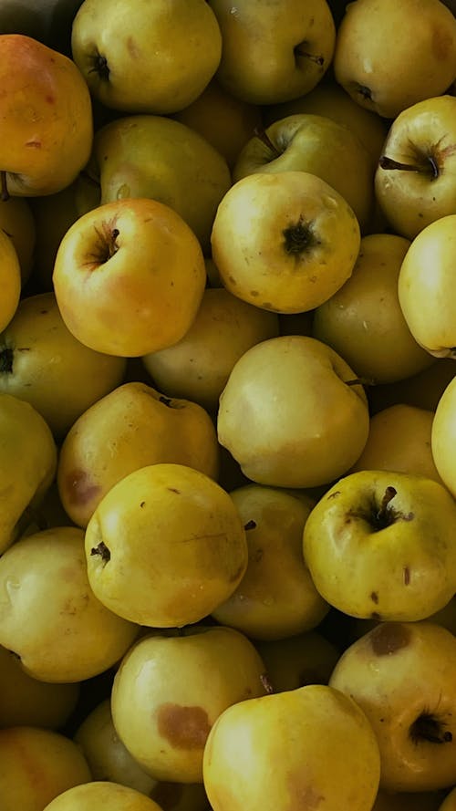 Kostenloses Stock Foto zu äpfel, essensfotografie, frisch