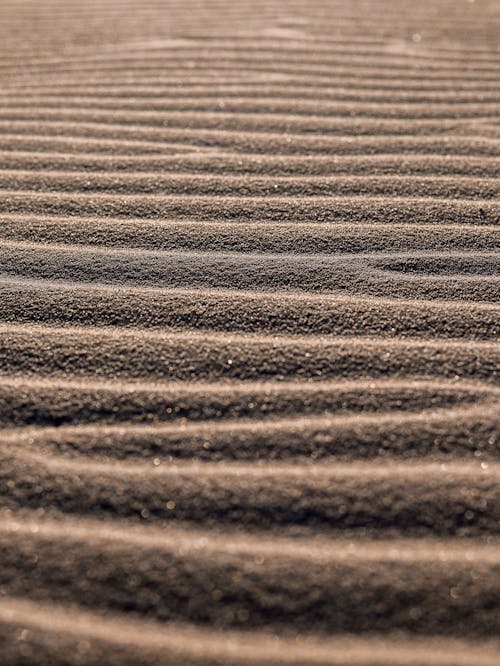 çekilmiş, çöl, çorak içeren Ücretsiz stok fotoğraf