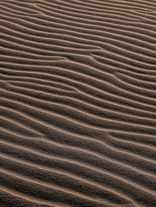 Foto d'estoc gratuïta de àrid, desert, natura