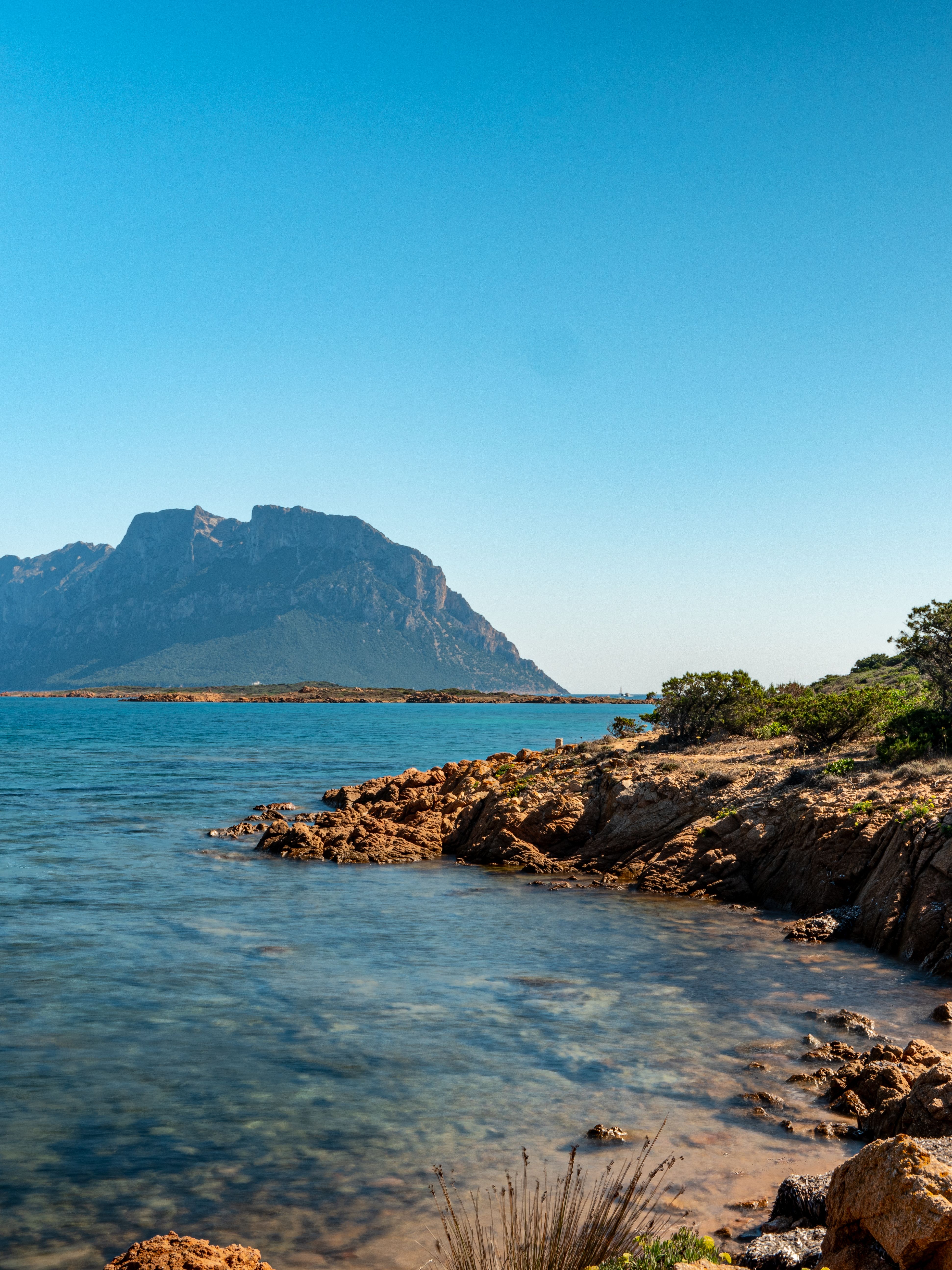 Olbia