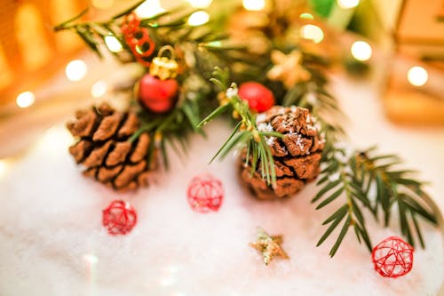 Foto profissional grátis de decoração de Natal, inverno, Natal